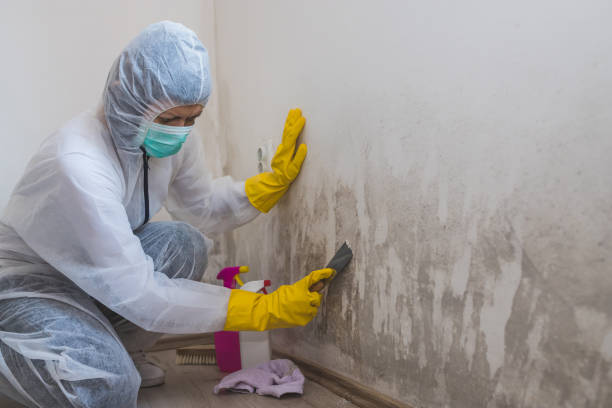 Water Damage Restoration in Manistee, MI
